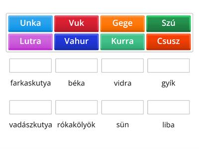 Az állatok regénybeli elnevezése - 1. és 2. rész