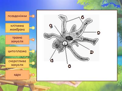 Робота з німими малюнками