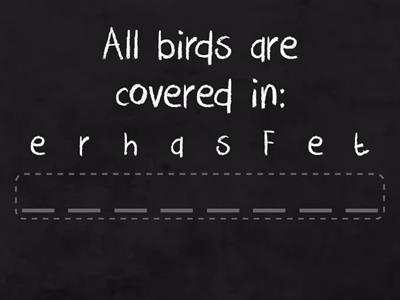 Birds - Anagram