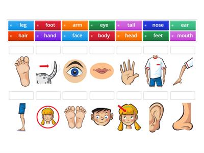 power up (unit 2) body parts