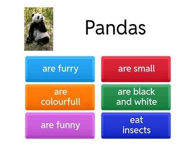 Animals quizz- all about us 3 Unit 1