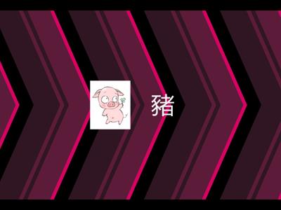 動物記憶力挑戰