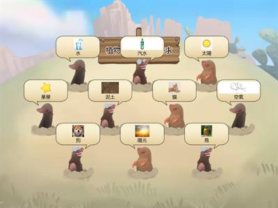 植物生長的要素