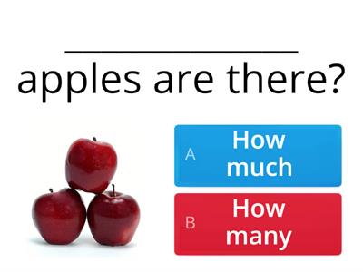 Spotlight 5 Module 8 How much / How many