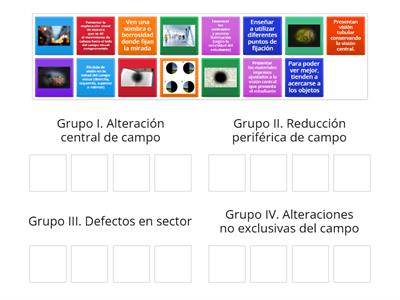 Grupos funcionales de baja visión