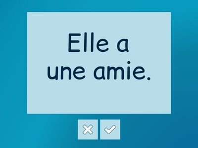A1: Article indéfini et la négation totale