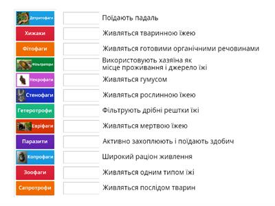 Живлення і травлення тварин