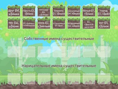 Собственные и нарицательные имена существительные. 