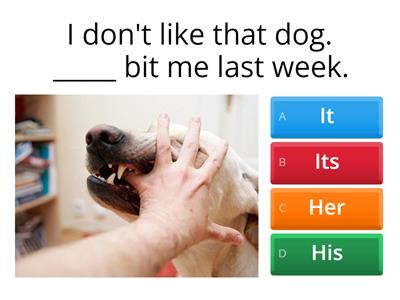 Entry Ticket: Subject-Object Pronouns