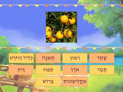 עֵצִים בְּיִשְׂרָאֵל- הַתְאִימוּ תְּמוּנָה לְמִלָּה