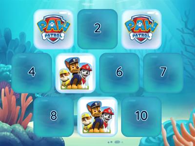 MEMORY PAW PATROL
