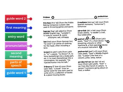 Dictionary Practice- labeling