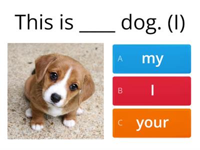 Possessive Adjective and Subject Pronouns