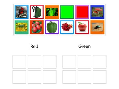 Підготовка до школи Colours