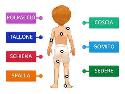 PARTI DEL CORPO: DIETRO