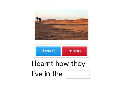 What plant did you learn about?