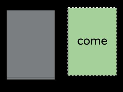 Voiced Tricks Words Level 15