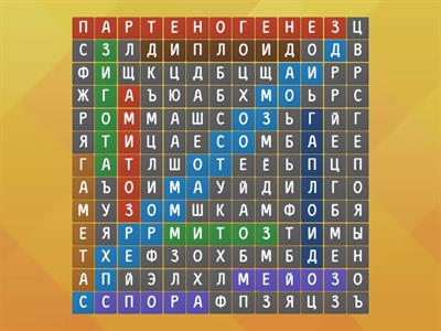 митоз, мейоз