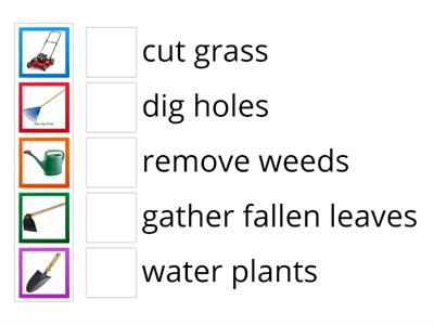 Special Education Year 4: Unit 7. Gardening