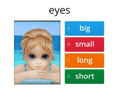 big/small/long/short