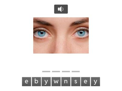 Составь слово по английский (семья, части тела)