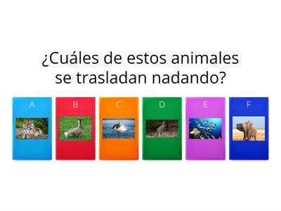 Animales