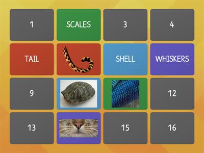 Memory game - Animal body parts