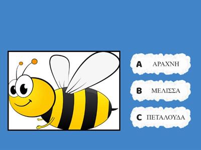 Εντομα - Φωνολογική ενημερότητα : Σκέψου με πιο γράμμα αρχίζει το έντομο που βλέπεις και κάνε κλικ στη σωστή λέξη