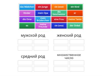 der die das ein mein