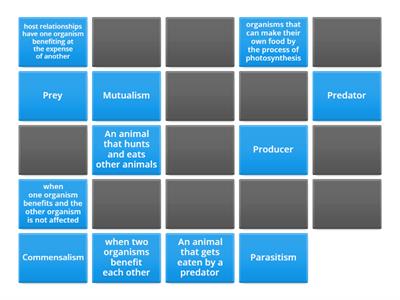 Eco-system Review