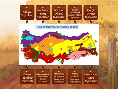 Türkiye'nin Başlıca Toprak Tipleri (Recai Küçükdal) 