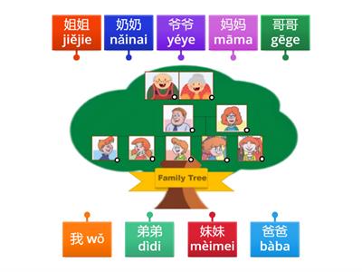 family tree