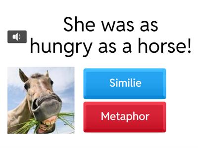 Similes & Metaphors