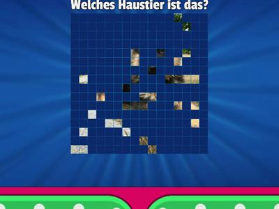  Klasse! A1 L6 Haustiere