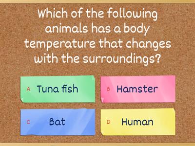 Online Quiz: Classification of Living Things