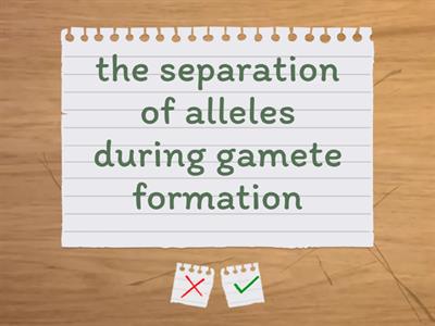 Mendelian Genetics Vocabulary Flashcards