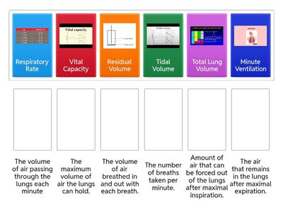 L3 U1 - Lung Volumes
