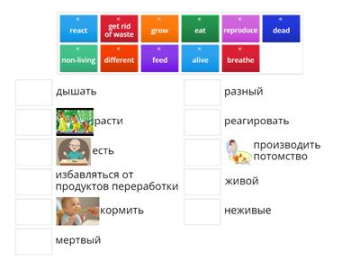 alive, dead, non-living_1