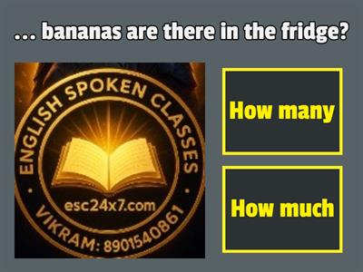 Uses of How much? /  How many? by esc 24x7_ 8901540861