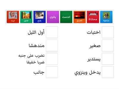 مفردات وتراكيب قصة ميرابل