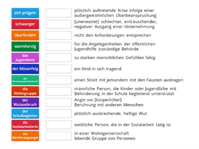 Systemsprenger - Lexik 1 - Begriffe und Definitionen