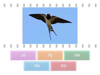 Склади з буквою л