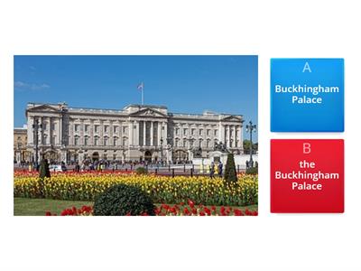 the definite article