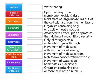 Cell Structure & Function definitions
