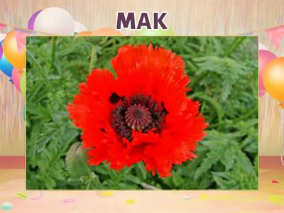 "Збери усі маки"