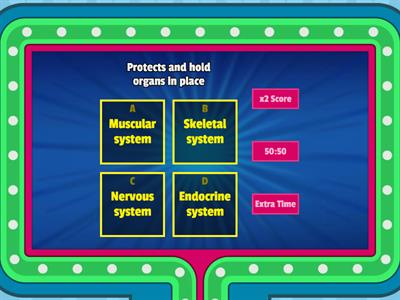 Muscular and Skeletal systems review 