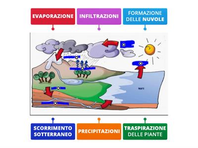 Il ciclo dell'acqua