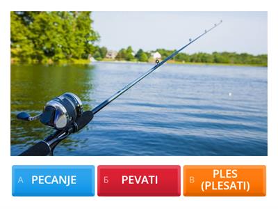 Hobiji i slobodno vreme