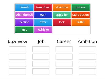 Ambition/career/job/experience collocations