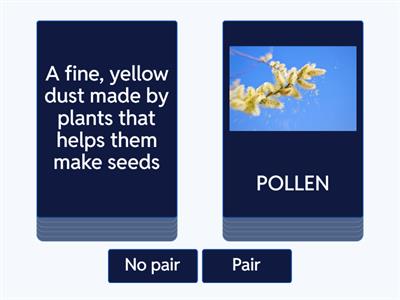 POLLINATION VOCABULARY